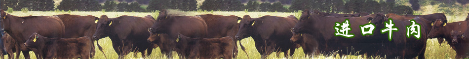 晟和辰进口牛肉