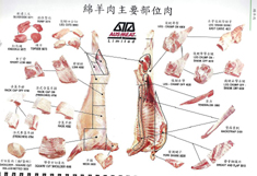 羊脂肪